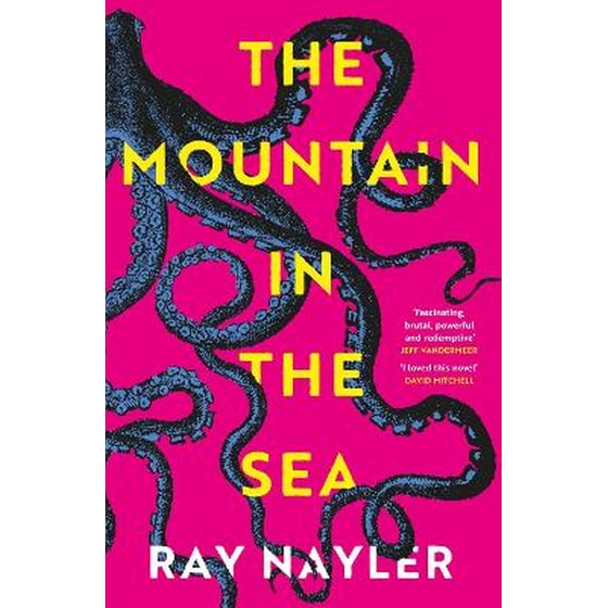 The Mountain in the Sea image 0