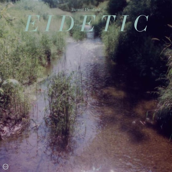 Eidetic (+Downloadcode) image 0