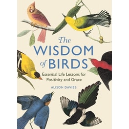 The Wisdom of Birds