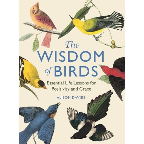 The Wisdom of Birds image 0