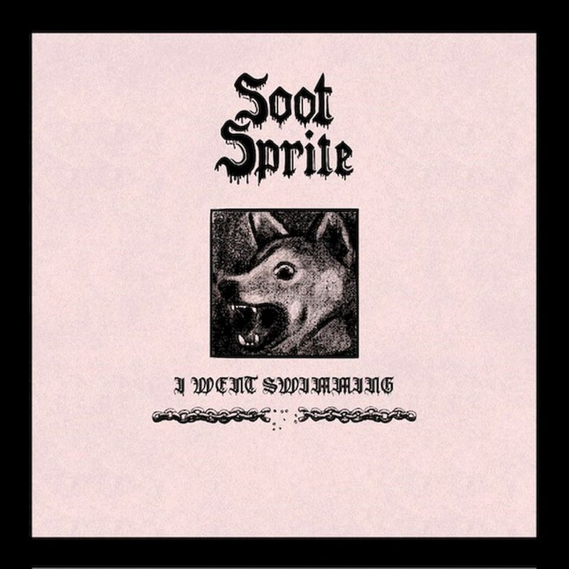 I Went Swimming / Home Among Your Bones (Ecomix LP 7)