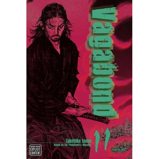 Vagabond 11 image 0