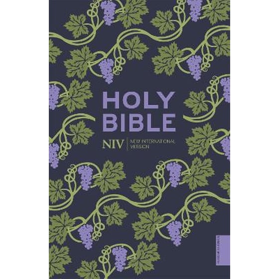 NIV Holy Bible (Hodder Classics) image 0