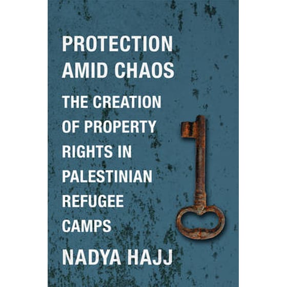 Protection Amid Chaos image 0