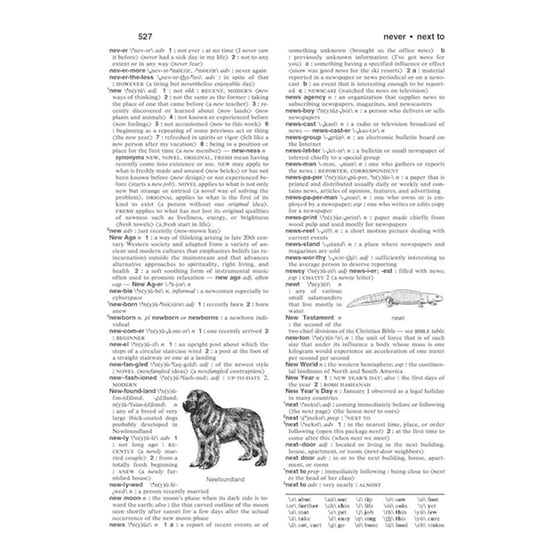 Merriam Webster's Intermediate Dictionary image 6
