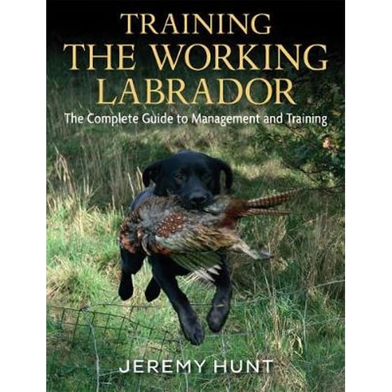 Training the Working Labrador image 0