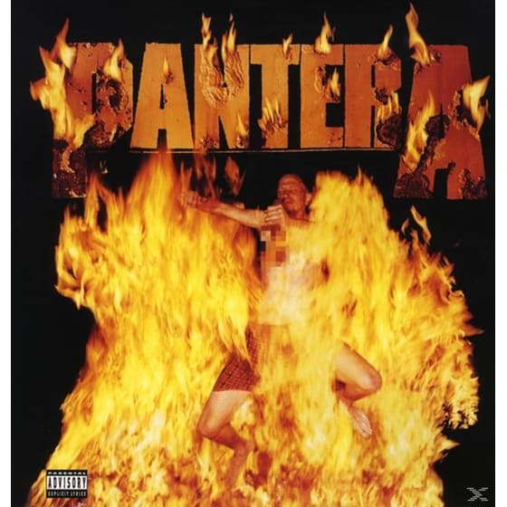 Reinventing The Steel (Vinyl) image 0