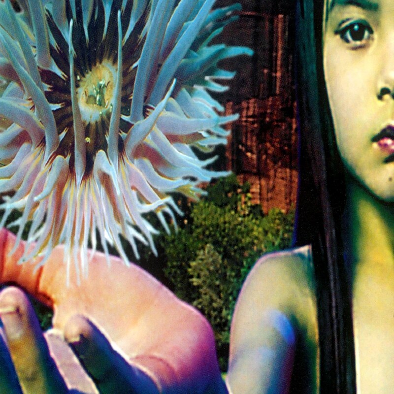 Lifeforms (2LP Colored) (Public Exclusive)