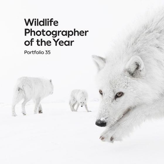 Wildlife Photographer of the Year: Portfolio 35 image 0