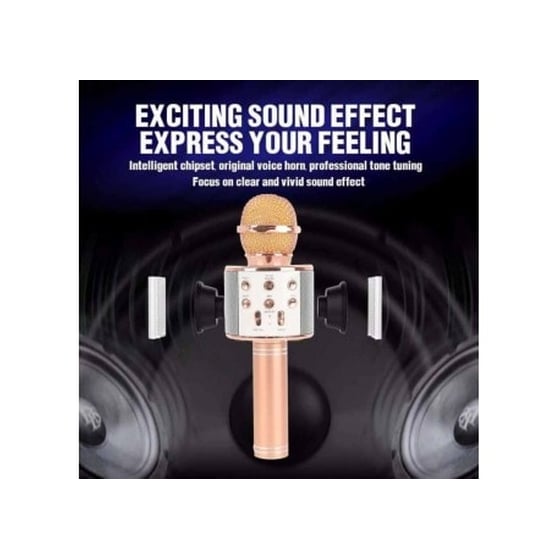 Μικρόφωνο Karaoke Wster Ws-858 Με Ηχείο - Χρυσό image 2