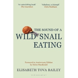 The Sound of a Wild Snail Eating