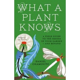 What a Plant Knows