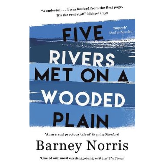 Five Rivers Met on a Wooded Plain image 0