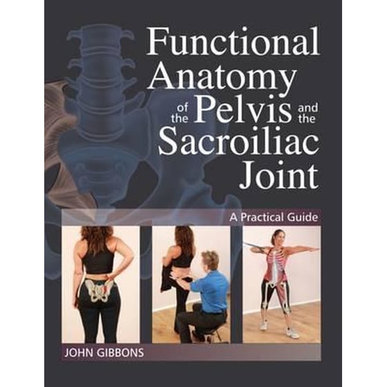 Functional Anatomy of the Pelvis and the Sacroiliac Joint image 0