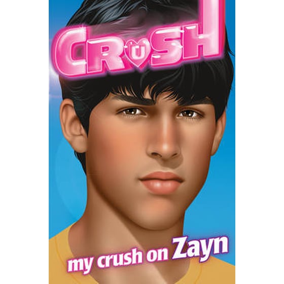 My Crush on Zayn image 0