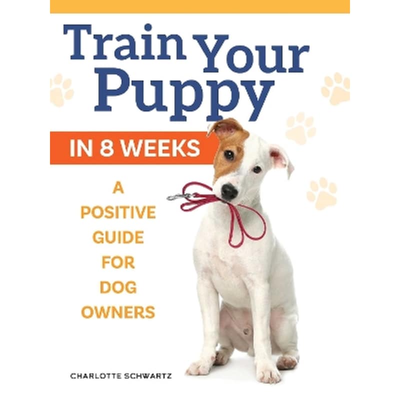 Train Your Puppy in 8 Weeks