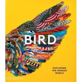 Bird, Exploring the Winged World