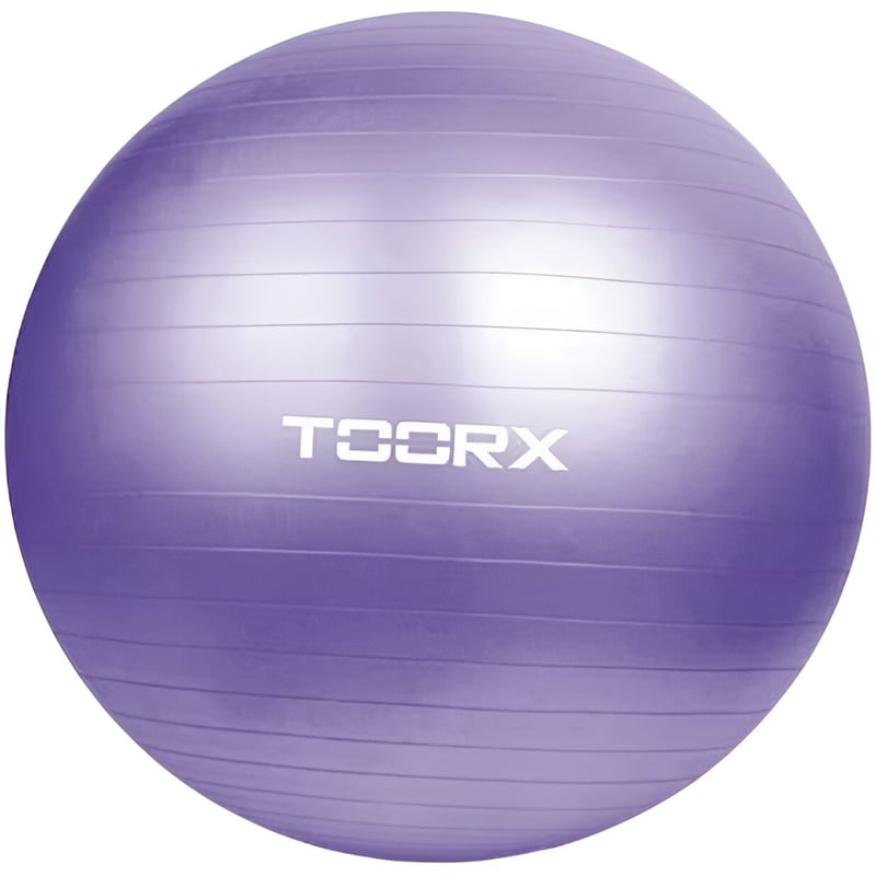 Μπάλα Γυμναστικής Toorx Leos Κατάλληλη για Pilates 1.35 kg 75 cm από PVC - Μωβ MRK2247362