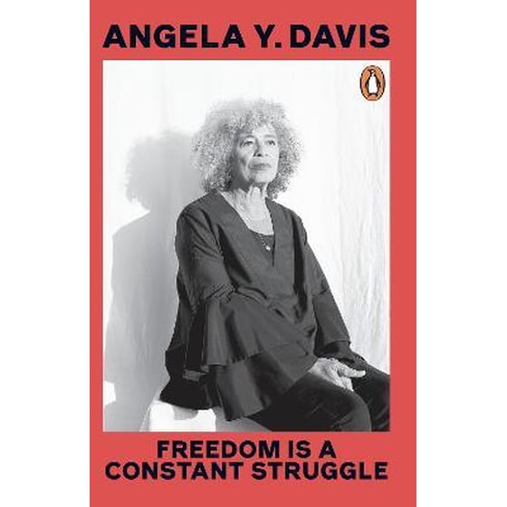 Freedom Is A Constant Struggle image 0