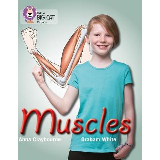 Muscles image 0