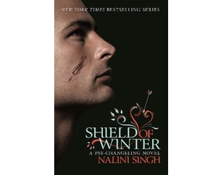 Shield of Winter image 0