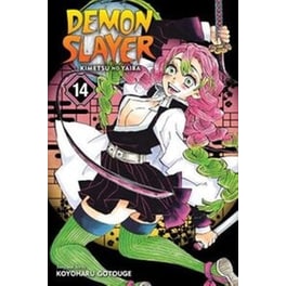 Demon Slayer- Kimetsu no Yaiba, Vol. 14