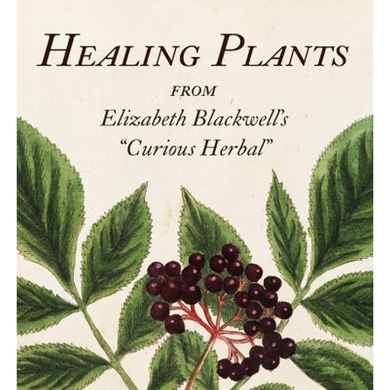 Healing Plants image 0