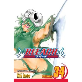 Bleach, Vol. 34 Vol. 34