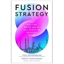 Fusion Strategy