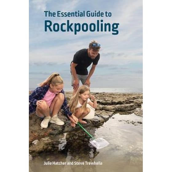 Essential Guide to Rockpooling image 0