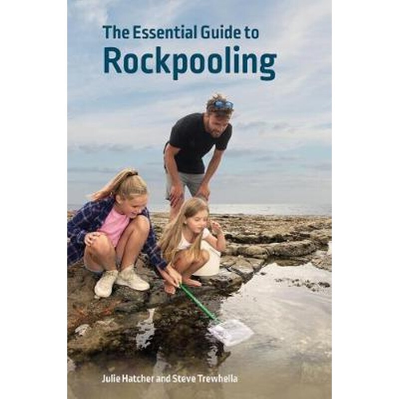 Essential Guide to Rockpooling