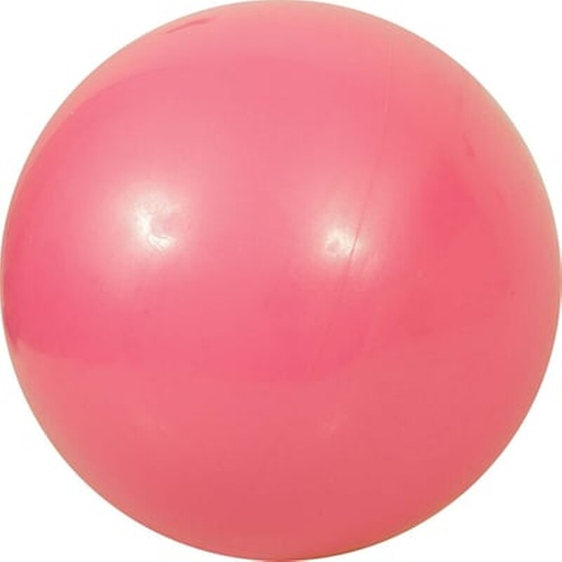 Μπάλα Γυμναστικής Amila Κατάλληλη για Ρυθμική 0.42 kg 19 cm από PVC - Ροζ AMILA