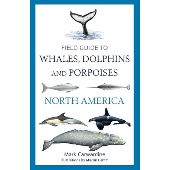 Field Guide to Whales, Dolphins and Porpoises of North America image 0
