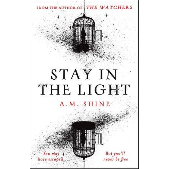 Stay in the Light image 0