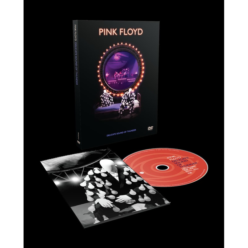 Delicate Sound Of Thunder