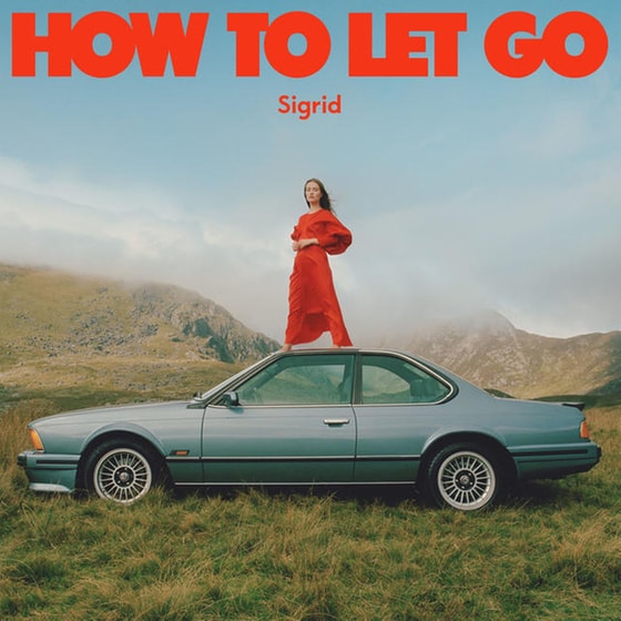 How To Let Go (LP) image 0