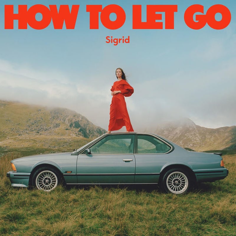 How To Let Go (LP)