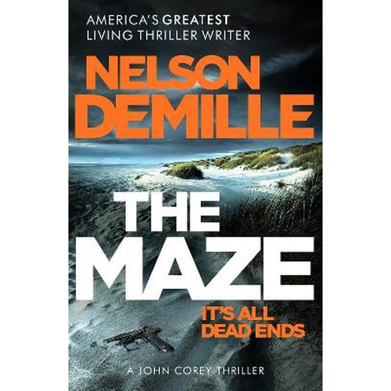 The Maze image 0