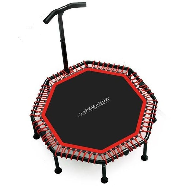 PEGASUS Τραμπολίνο PEGASUS Οκτάγωνο 48cm με Λαβή