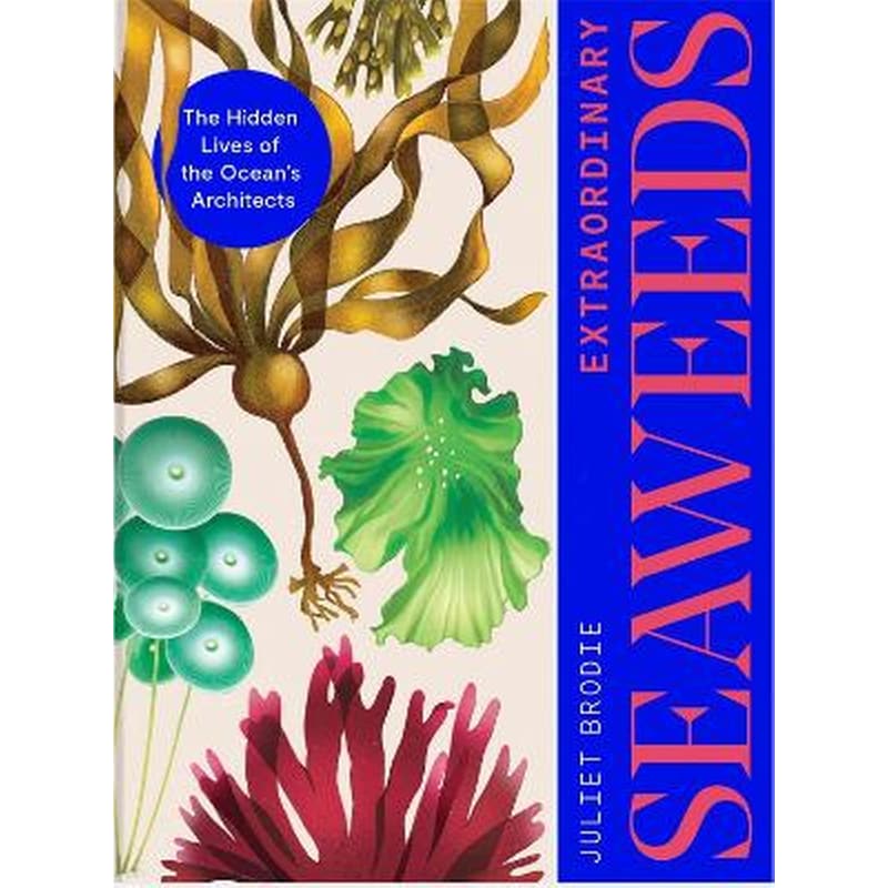 Extraordinary Seaweeds