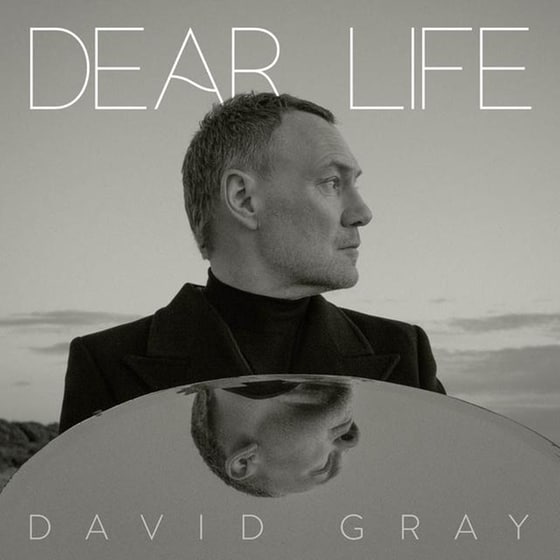 Dear Life (2LP) image 0