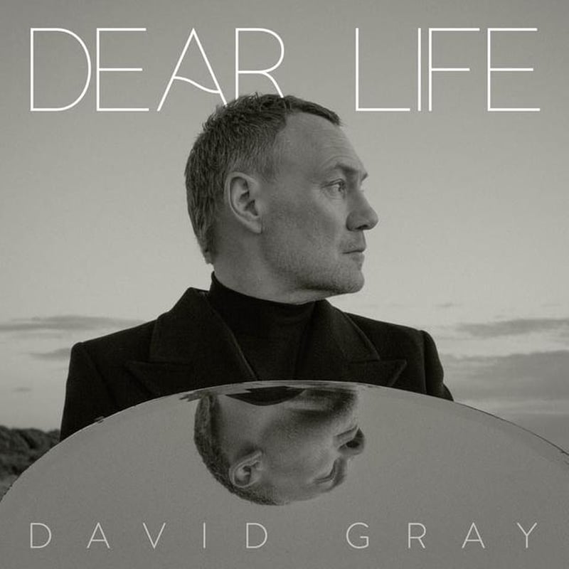 Dear Life (2LP)