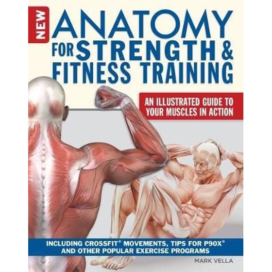 Anatomy for Strength and Fitness Training image 0