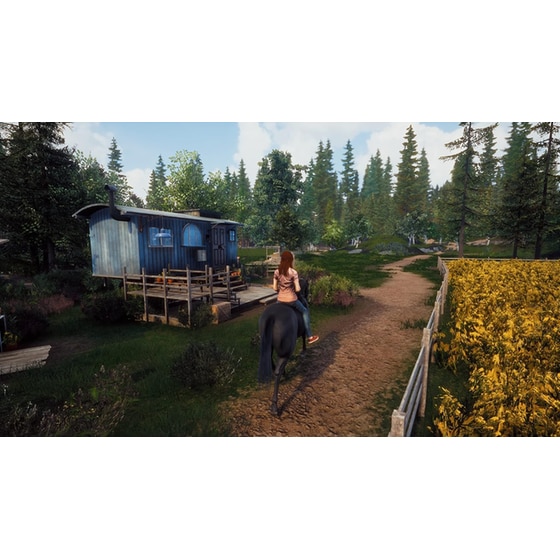 Windstorm: Start of a Great Friendship (Code in a Box) - Nintendo Switch image 4