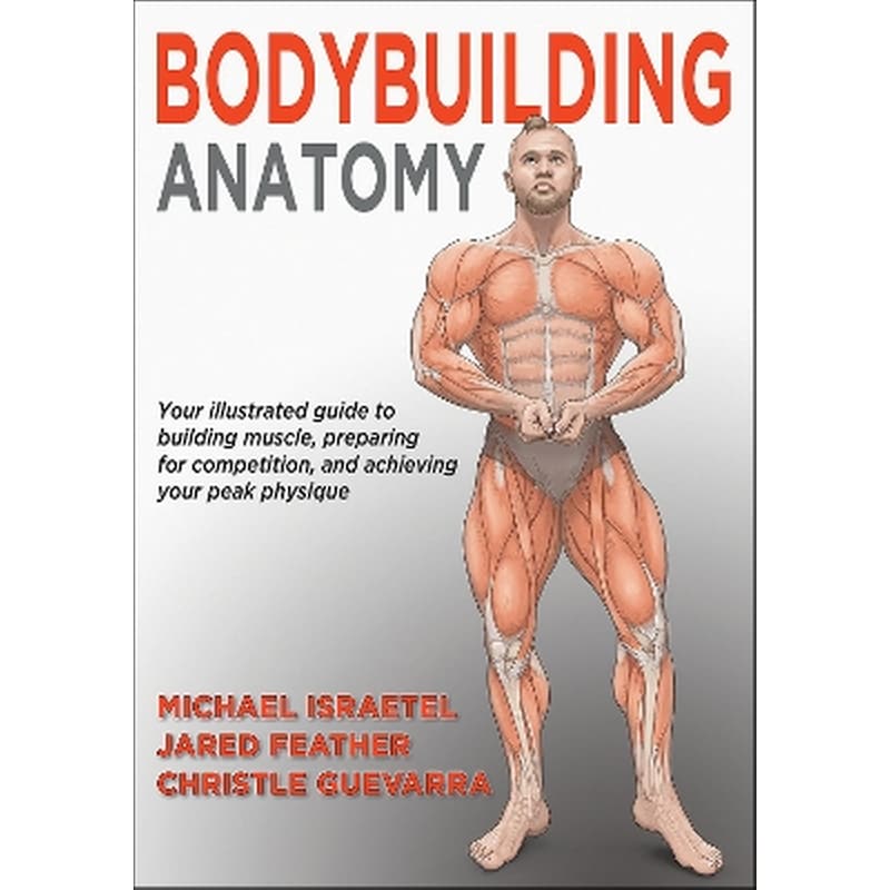 Bodybuilding Anatomy