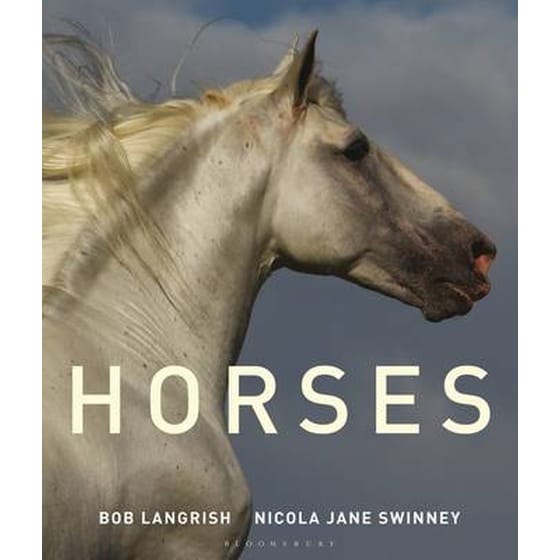Horses image 0