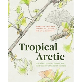 Tropical Arctic