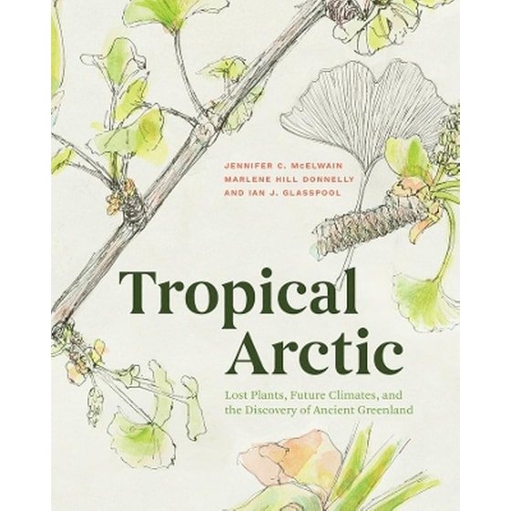Tropical Arctic image 0