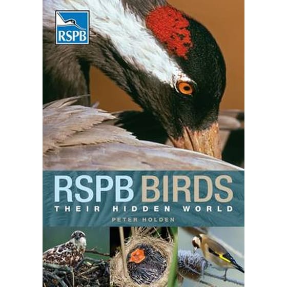 RSPB Birds: their Hidden World image 0