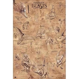 Αφίσα Fantastic Beasts Κάθετη 61 x 91.5 cm